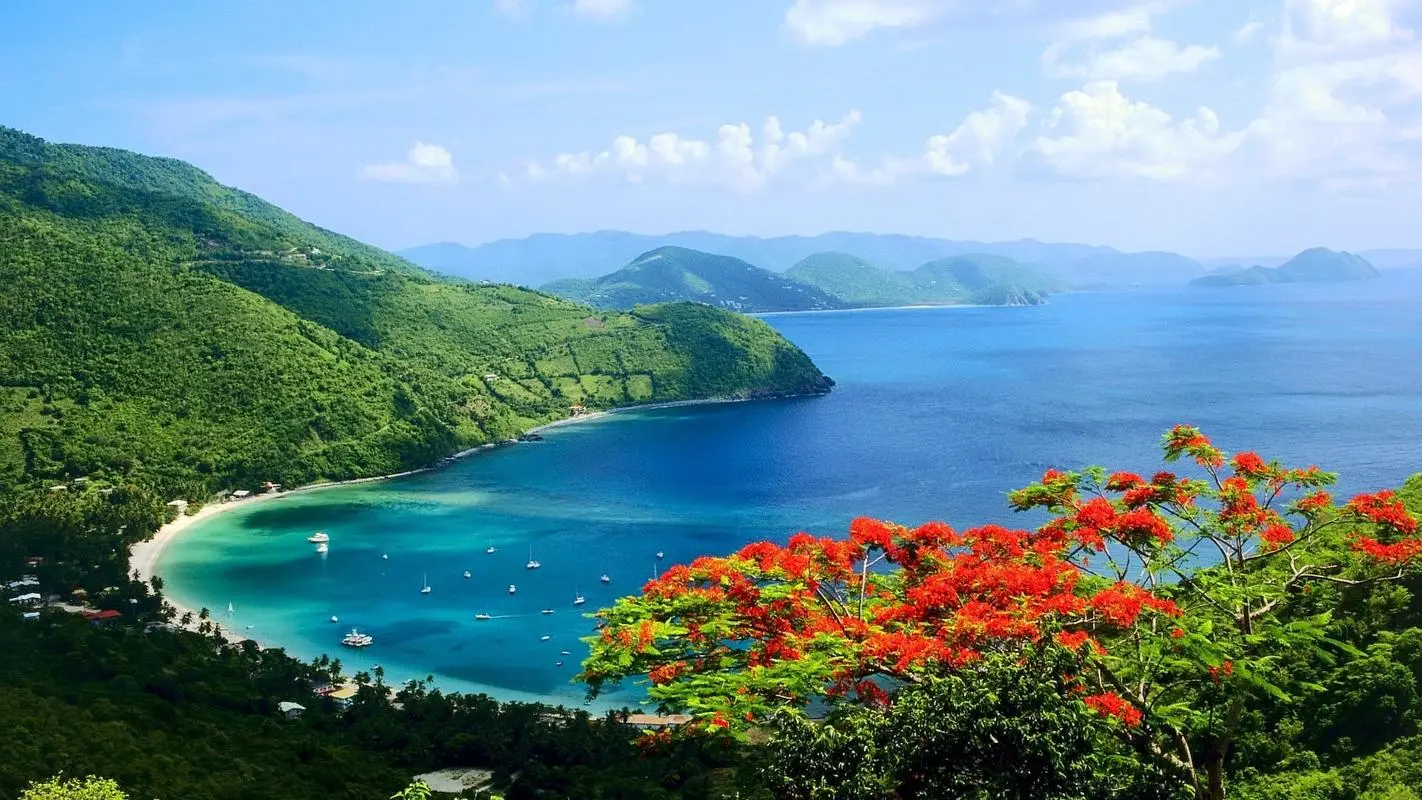 电子高效精密